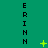 Green background with vertical black text repeating 'ERIN' and scattered yellow pixelated stars of varying sizes.