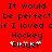Red background with black pixelated text reading "It would be perfect if I loved cif Hockey Player" and a white heart symbol above the word "Player".