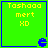 Green square with blue border contains yellow text "Tashaqo mert XD" and a small blue Pac-Man-like icon at bottom right corner.