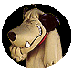 Animated cartoon dog with light brown fur, dark brown ears, and a red collar in four circular frames showing sequential head movements.