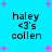 A blue background with pink plus signs and four identical text blocks reading 'haley <3's collen' in black pixelated font.