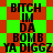 Green and red diamond-patterned background with black text reading "BITCH IN DA BOMB YA DIGGZ" repeated in two