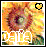 Pixelated sunflower with red-brown petals and green center against yellow-orange background, featuring 'Dalia' text in white outline on left and black block letters on right