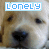 six identical pixelated dog face images with blue text reading 'LONELY' above each, arranged in three and two