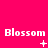 A bright pink background displays three of 'Blossom' text with varying pixelated symbols beneath each instance, showing animation changes across frames