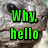Green pixelated text 'Why. hello' on a textured gray-brown background with dark and light speckles.