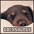 Pixelated static image of a dachshund dog's face with stylized text below, set against a light beige background.