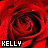 Two identical red rose images side-by-side with 'KELLY' text in black boxes at the bottom left of each.