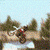 Cars icons for AIM, MSN, MySpace and Yahoo