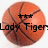 Four basketballs in a , each with distinct text overlays and varying visibility of lines