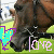 A horse's head in profile against a grassy background, with a cyan heart symbol and pink 'love' text overlaid; the heart shifts position across frames.