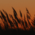 A static pixelated image shows dark, jagged shapes against a gradient background transitioning from dark brown at the bottom to light brown at the top.