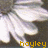 A pixelated image of a white-gloved hand with a yellow text overlay reading 'hayley' at the bottom.
