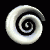 Six spiral-shaped icons arranged in two on a black background, with one gray square visible at the bottom right