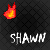 nine pixelated flame icons arranged in three and , each with the name 'SHAWN' below it on a dark checkered background