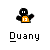 Pixelated black figure with orange '13' chest emblem, three identical static icons above text 'Duany' on white background, scattered orange '13' and yellow crescent shapes on black background below.