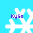 Four white snowflake icons on a light blue background, each with the name 'Kylie' in purple text below it.