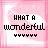 A 5x5 contact sheet of animated frames showing a pink lip print background with alternating text phrases "WHAT A wonderful" and "CARICATURE OF intimacy" in black pixelated font over white rectangular fields, each frame containing small decorative symbols below the main text.