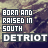 pixelated text icons displaying 'BORN AND RAISED IN SOUTH DETROIT' with variations in letter spacing and background texture