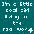 A teal background displays repeated white pixelated text reading "I'm a little seal girl living in the real world" with small star-like symbols scattered throughout.