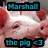 Pixelated image of a pink pig with closed eyes and red ears, featuring blue text banners reading "Marshall" at top and "the pig <3" at bottom.