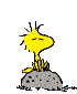 Yellow cartoon bird with spiky head feathers sits on gray rock, then stands and moves left arm while rock remains visible.