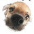 Pixelated close-up of a dog's face with brown and white fur, black nose, and dark eyes on a transparent background.