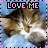 A 48x48 pixel animated buddy icon featuring a cat with brown and white fur, displayed in two side-by-side frames showing slight animation changes, bordered by pink and black dotted lines with "LOVE ME" text at the top.