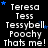 repeated text elements with blue stars on a black background, featuring the names Teresa Tess Tessybell Poochy Thats me! in white pixelated font