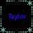 A static digital image with four instances of the name "Taylor" in purple text, arranged around a central crosshair-like pattern made of cyan dots and asterisks on a black background.