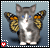 Pixelated cat with gray and white fur, blue eyes, orange-brown butterfly wings, standing against light blue background with red heart in bottom-left corner.