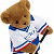 Brown teddy bear in white, blue, and red striped shirt holding hockey stick against white background with green text