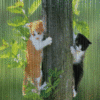 Two cats climb a tree in a green leafy background; the black cat's position shifts slightly between frames.
