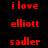 Red pixelated text 'i love', 'elliott', and 'sadler' on black background with white rectangular overlays in a pattern