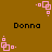 Brown background with repeated pink square-based pixel art icons and black text reading "Donna" in four positions.