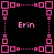 A static pixel art composition with repeating pink square patterns and text on a black background, featuring the name 'Erin' in multiple locations.