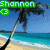 Pixelated beach scene with palm trees, blue sky, and turquoise water; green text overlays change from 'Shannon 13' to 'Summer '08'.
