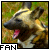 Pixelated image of a dog's head with open mouth and pink tongue, set against blurred green and brown background, with partial text 'FAN' visible at bottom left.