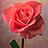 Pixelated image of a pink rose with layered petals, green stem, and single leaf against blurred background.