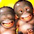 Animated buddy icon featuring two cartoon monkeys on a split background with text reading "Monkeys love me!!!"