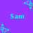 Pixelated cyan text 'Sam' on purple background with cyan square-and-dot animation elements.