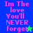 Pixelated text "Im The love You'll NEVER forget" in pink on blue and green backgrounds with a green star and blue star icon.