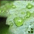 iconhell_ICONATOR_b0376961927d92d5a96e59705e5386c2