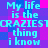 Pixelated text repeats 'My life is the CRAZIEST thing i know' across a of blue and pink squares with no visible animation