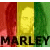 A 50x50 pixel animated contact sheet showing two frames of a Bob Marley-themed buddy icon with the Rastafarian flag colors and text elements.