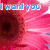 A split-screen image of pink flowers with text overlays in blue, purple, yellow, and green.