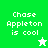 Green and light green pixelated text reads 'Chase Appleton is cool' with a white star and green star icon variation.