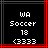 Two identical pixelated display "WA Soccer 18 (333)" text within red lines on black backgrounds