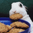 Pixelated image of a white rabbit holding cookies in a blue dish, with text reading "i'm a wabbit!" on the right side.