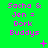 Green background with pink text reading "Sacha & Jen = Dork Buddys" and small pink symbols, showing pixelated animation changes across observations.